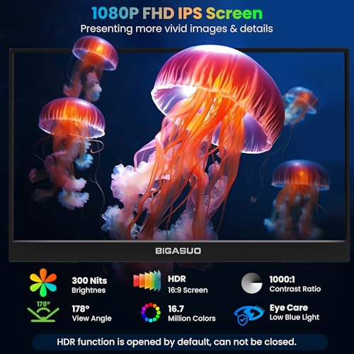 15.6'' 1080P FHD Portable Monitor with Smart Cover N125