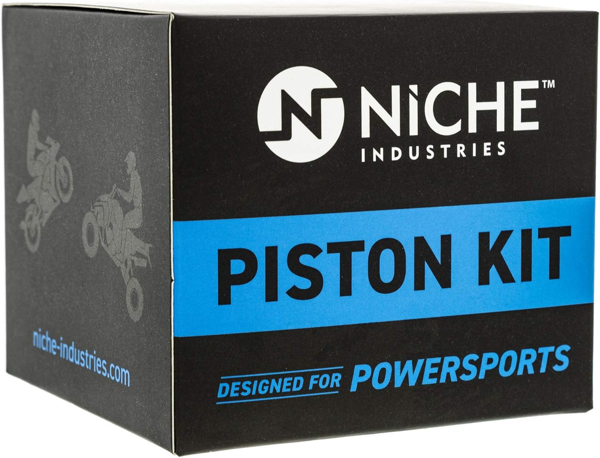 Piston Kit Pack of 2 X39903