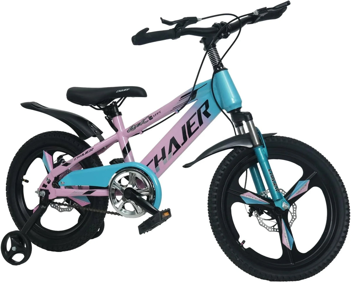 20 Kids Bike with Training Wheels, Handbrake, Kickstand U935908