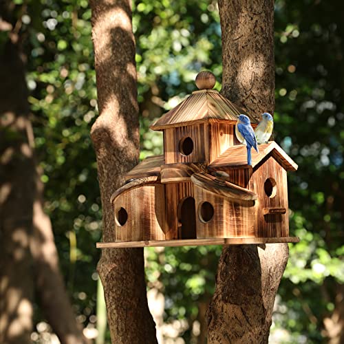 2in1 Bird House & Bird Feeder with 6 Hole T8378