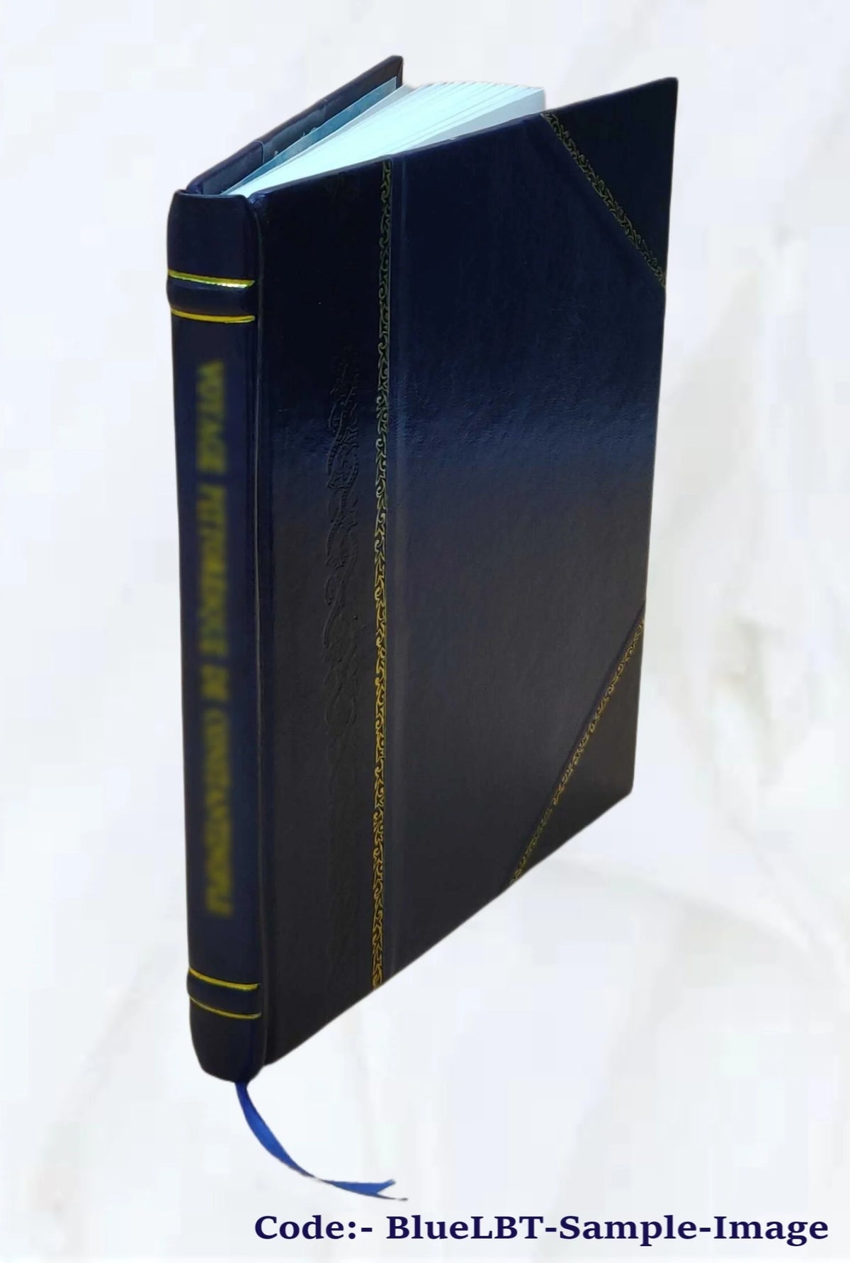 Genealogical Biography of Charles T. and Mary E. Clark Andrews D725304