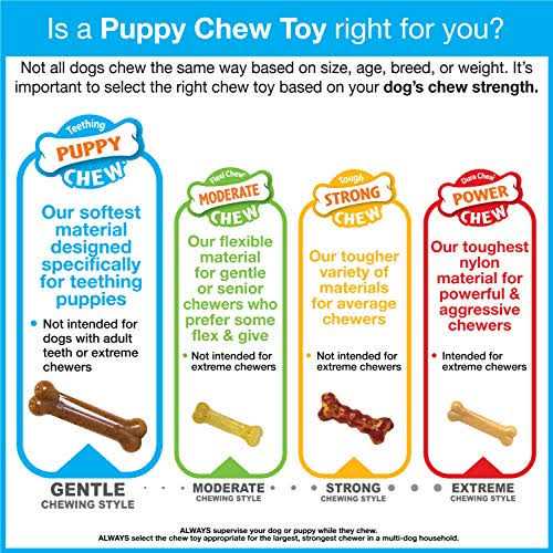 Chicken Flavor Puppy Chew Ring Bone Petite M5801