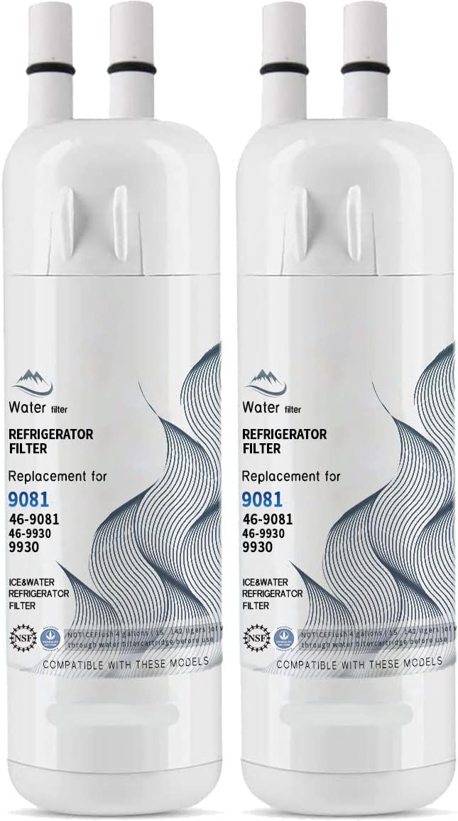 2 Pack Water Filter Replacement V61915