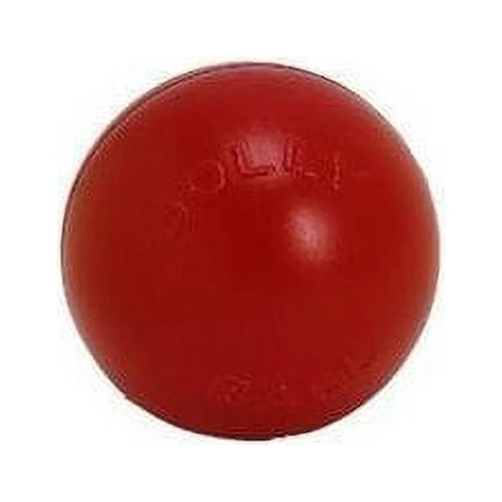 Red 10 inch Hard Plastic Chew Toy for Dogs M569154