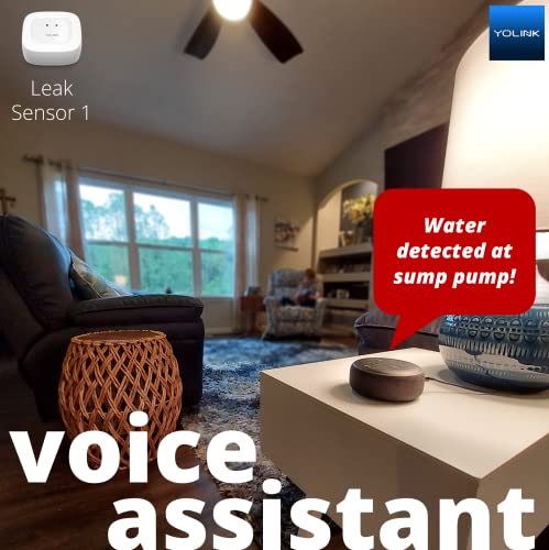 Smart Home Starter Kit: Hub & Water Leak Sensor 4-Pack L1247
