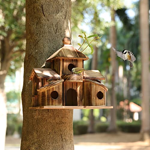 2in1 Bird House & Bird Feeder with 6 Hole T8378