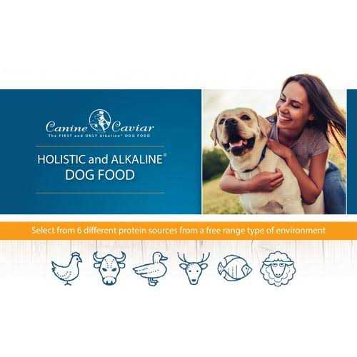 Grain-Free Dry Dog Food G740