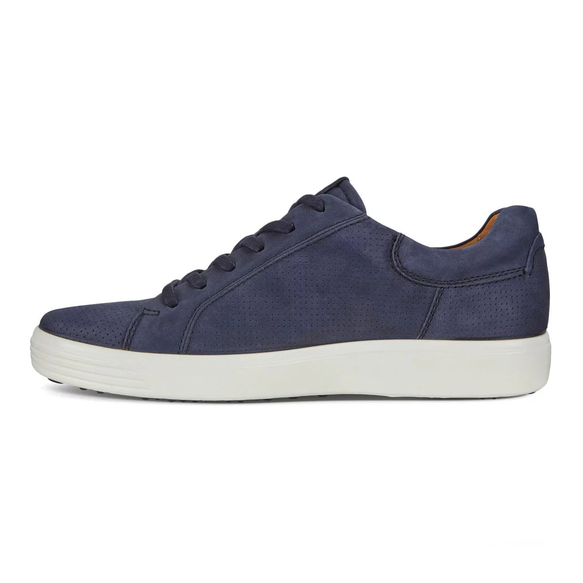 Night Sky Nubuck Sneaker V7198