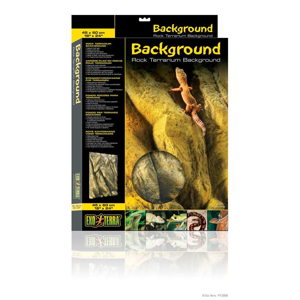 Rock Terrarium Background Q5514