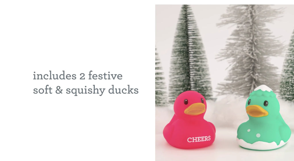 2pk Holiday Ducks N5099