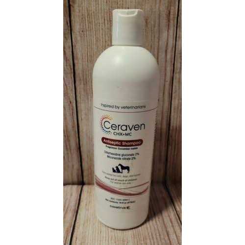 Antiseptic Shampoo 16 oz T2423