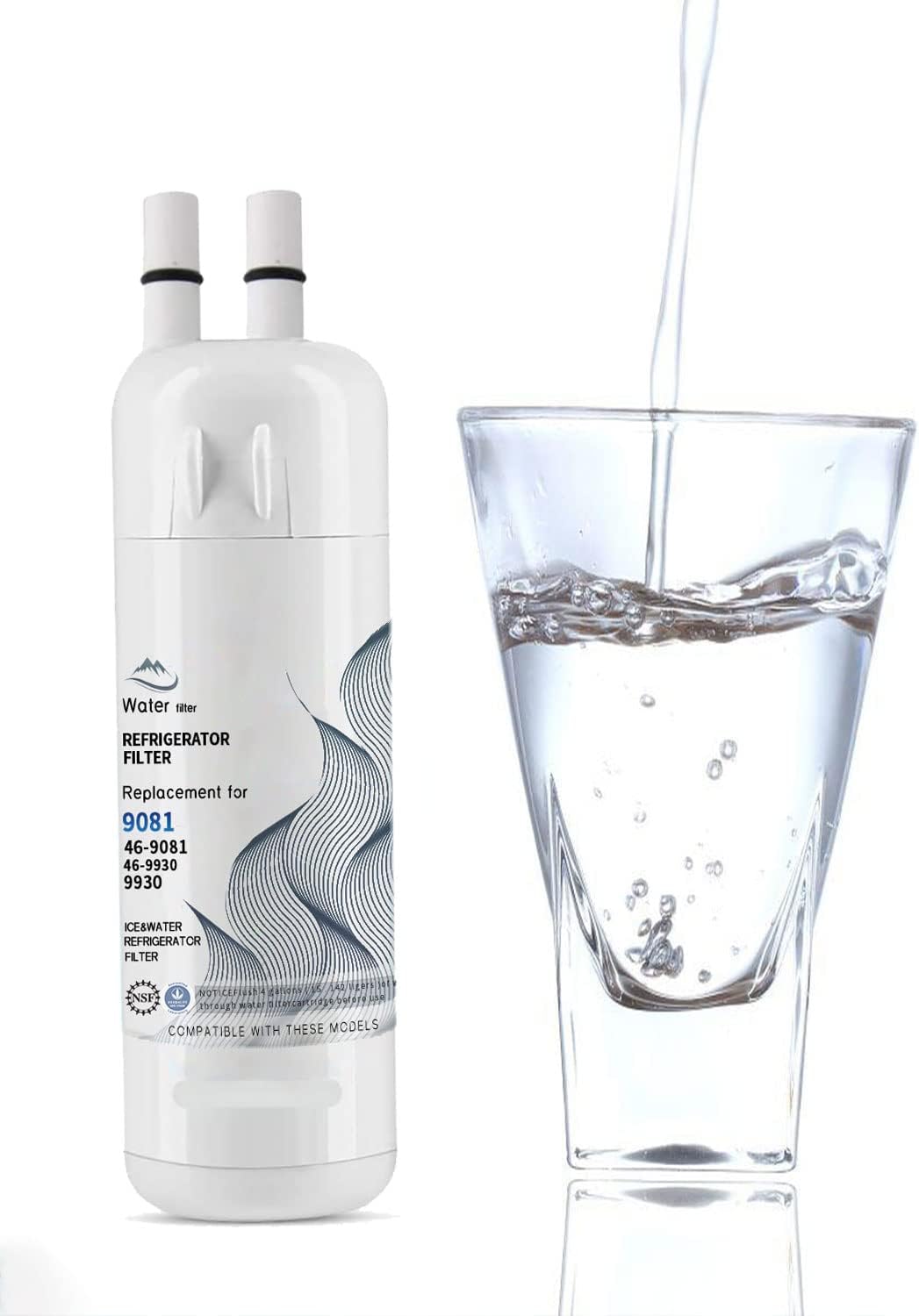 2 Pack Water Filter Replacement V61915