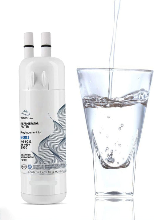 2 Pack Water Filter Replacement V61915