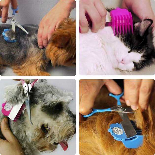 Silent Pet Grooming Kit R817571