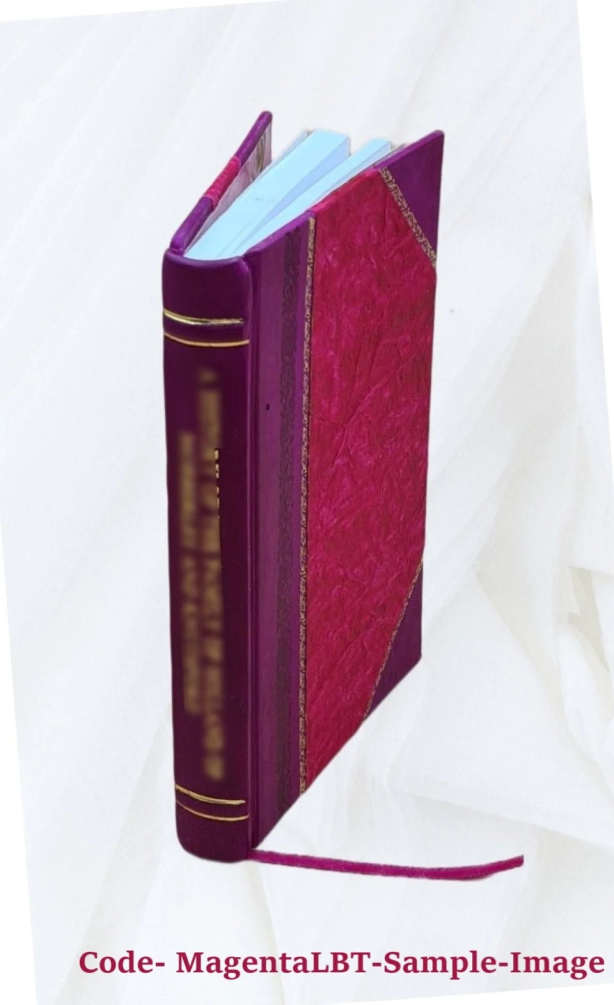 Genealogical Biography of Charles T. and Mary E. Clark Andrews D725304