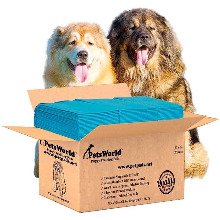 Pet Potty Pads Xxxl Tear Resistant V150339
