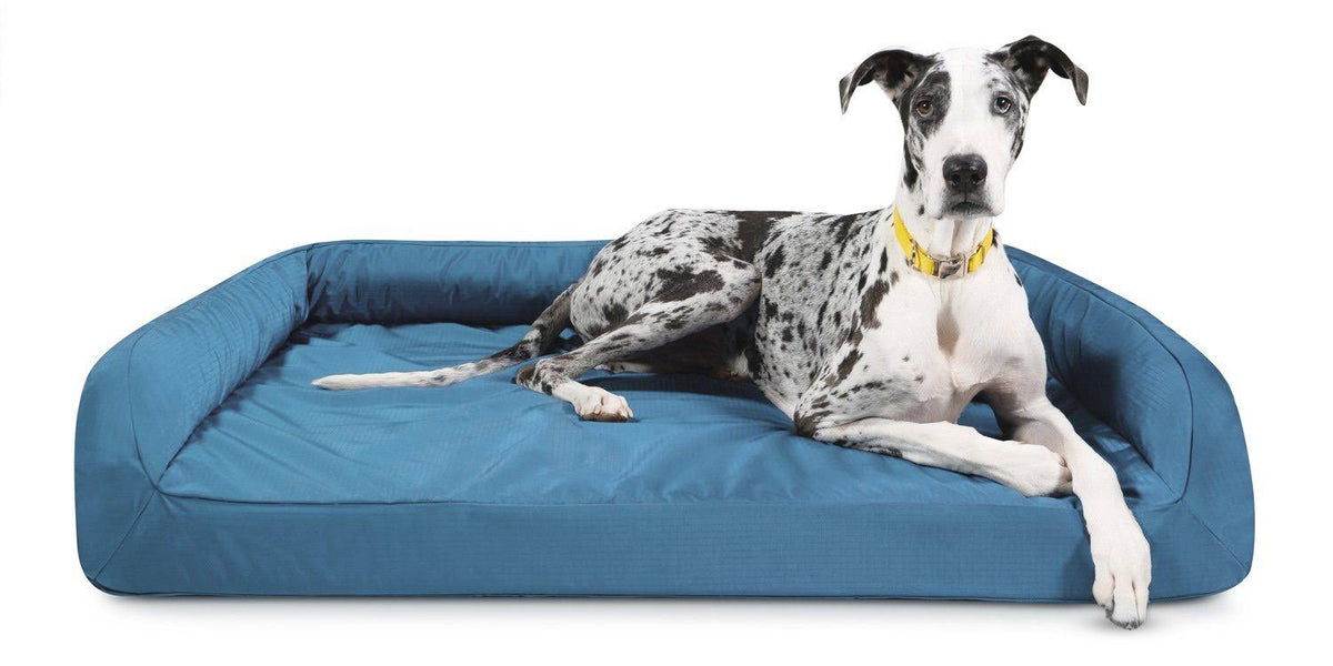 Orthopedic Dog Beds Y129680