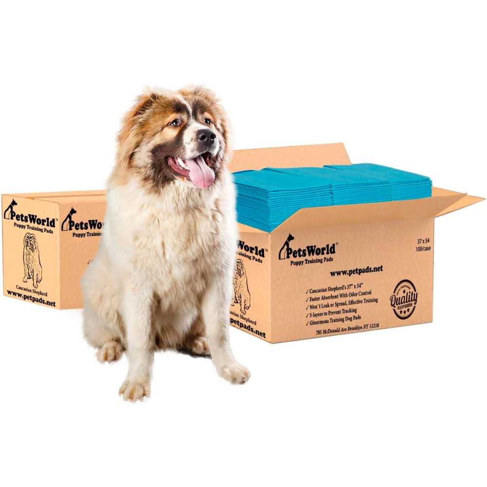 Pet Potty Pads Xxxl Tear Resistant V150339