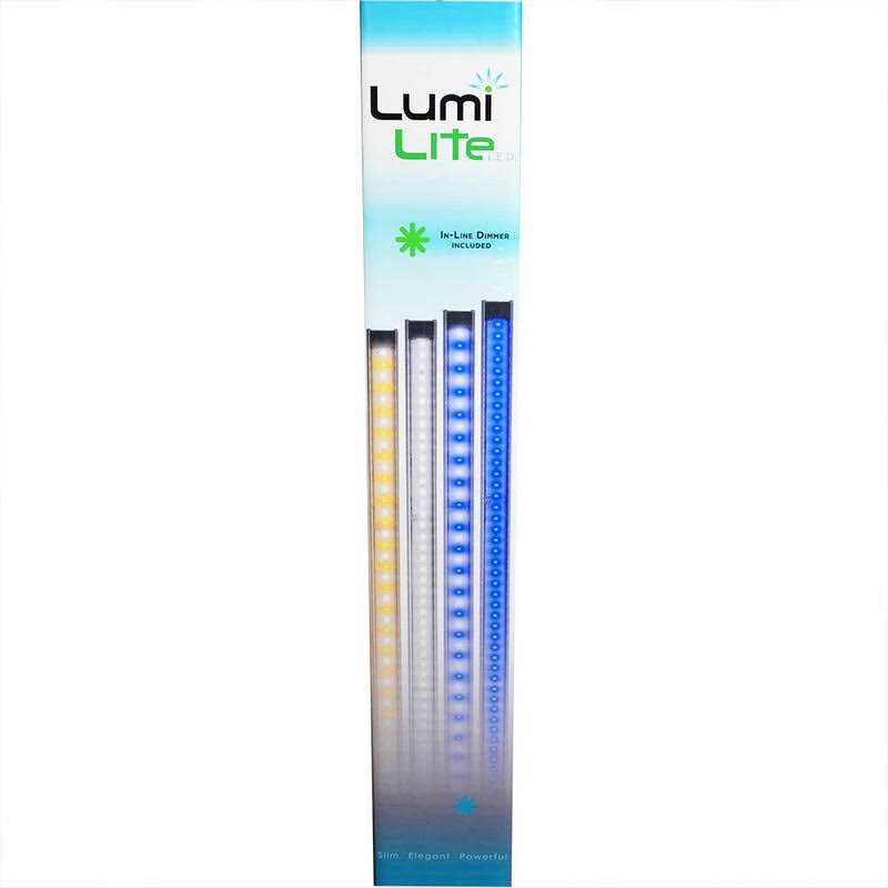 Lumi Lite LED Strip R505424