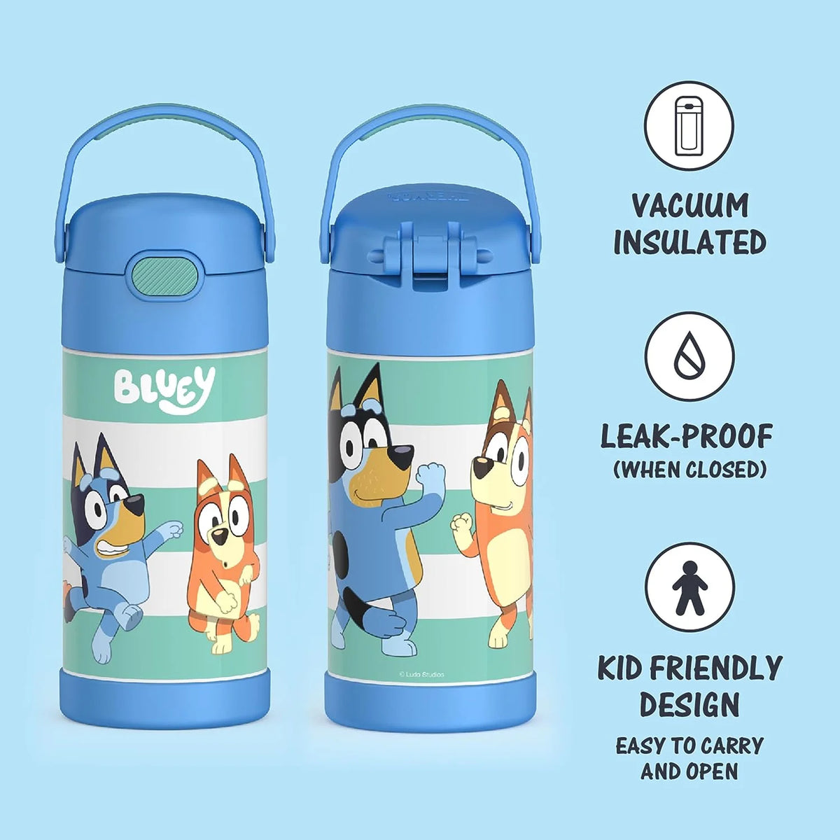 Bluey 12 Ounce Stainless Steel Kids Straw Bottle D11053