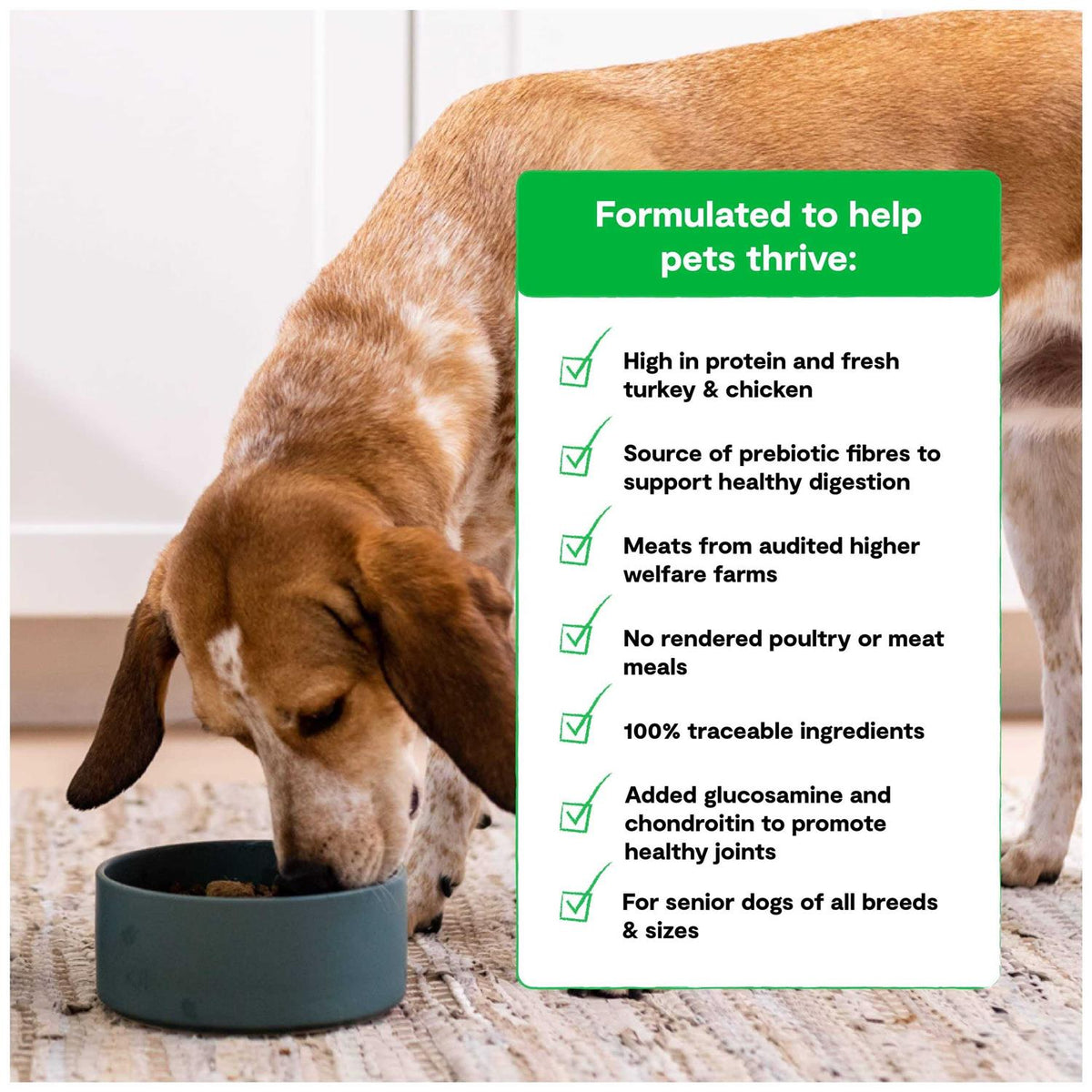 Senior Dry Dog Food L2499