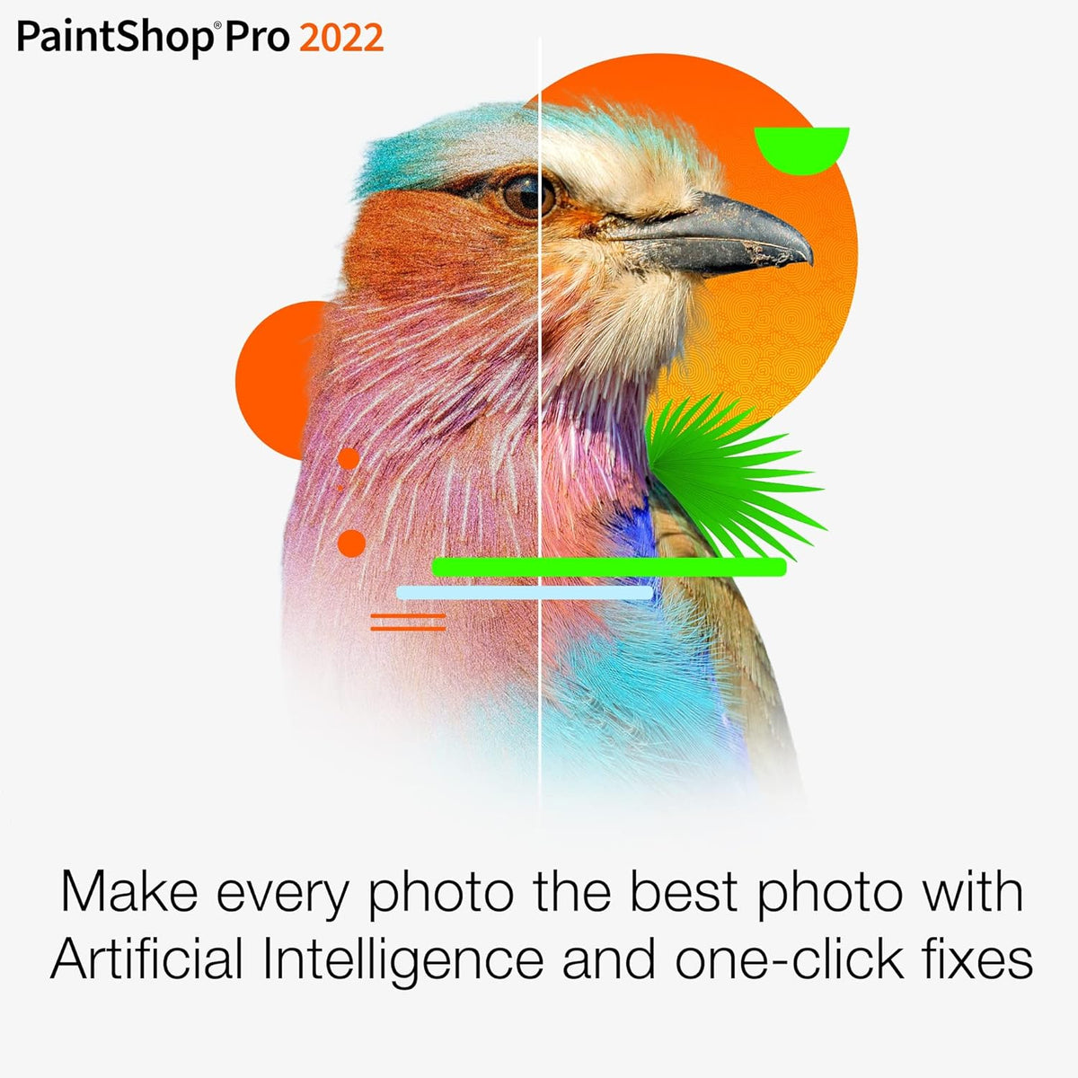 Photo and Video Editing Software I836907