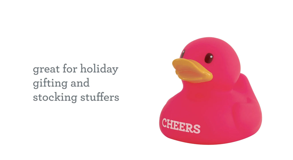 2pk Holiday Ducks N5099