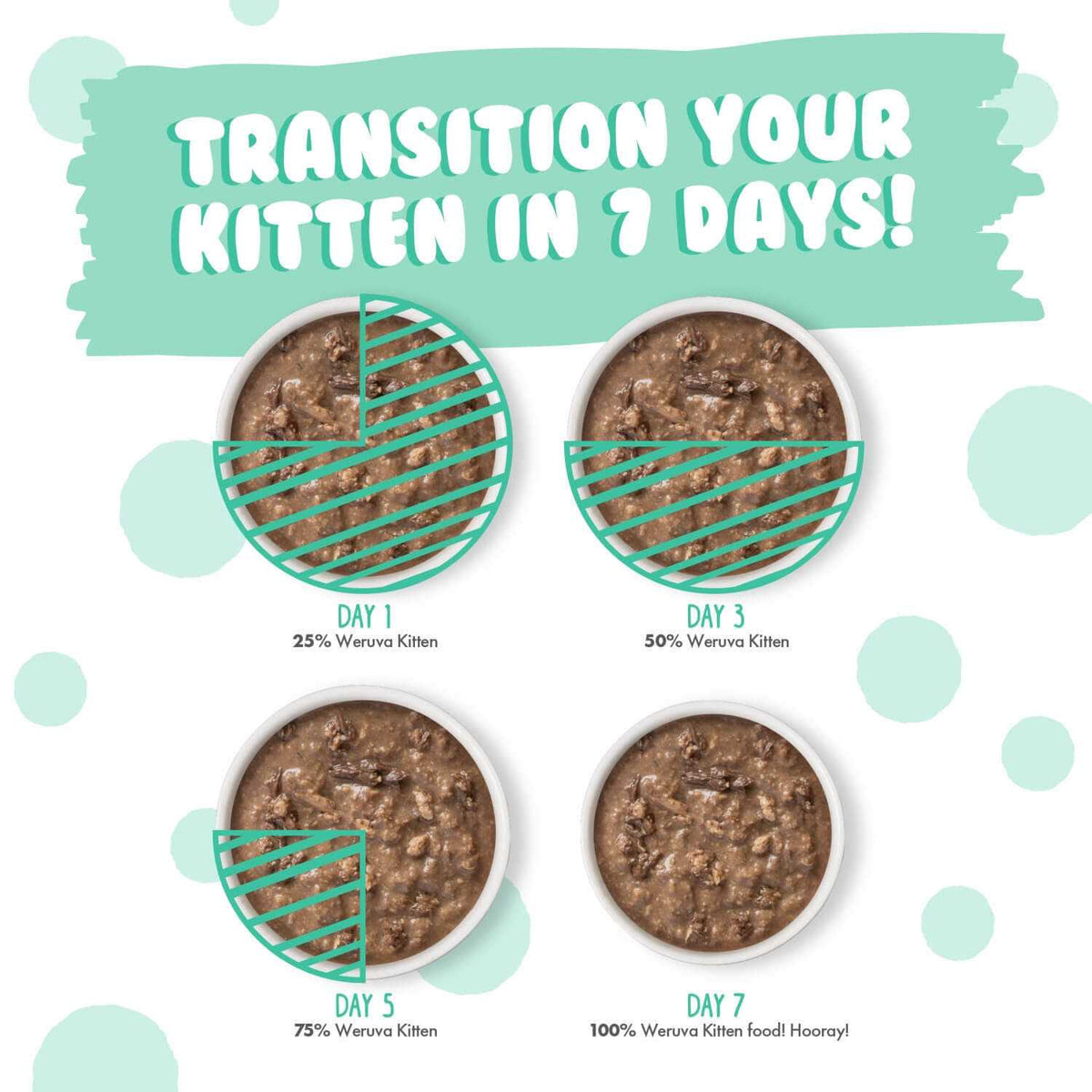 Chicken & Tuna Formula in Gravy Wet Cat Food R609
