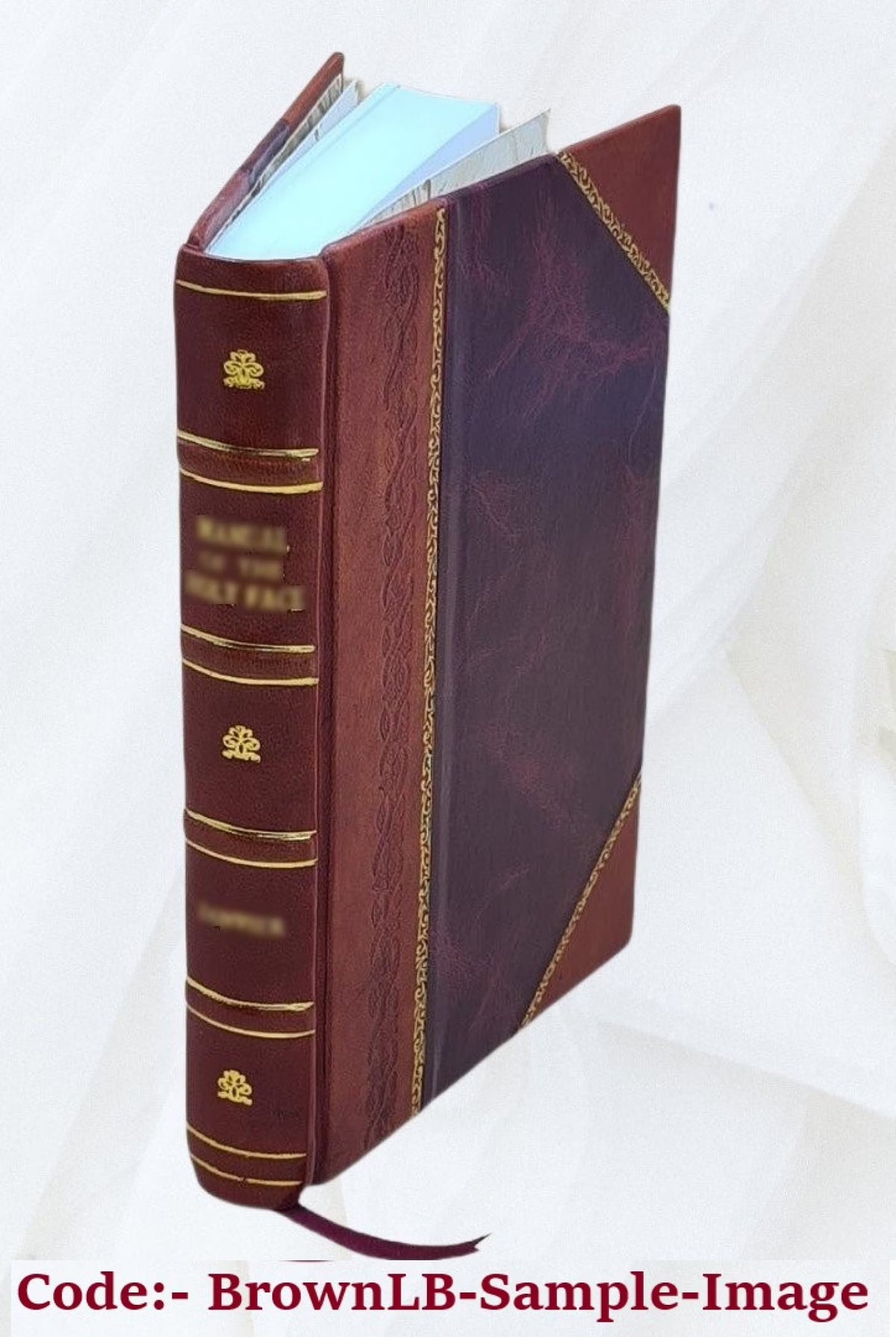 Leather Bound Book E516753