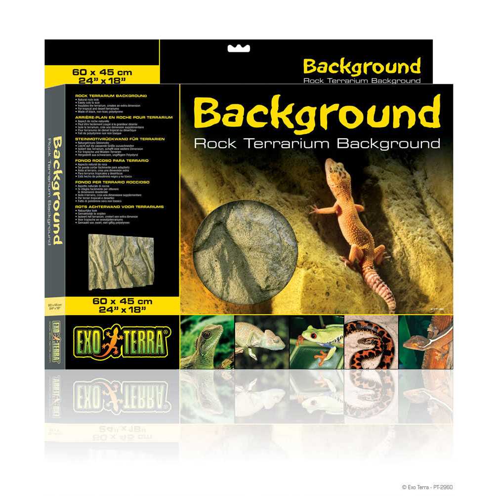 Rock Terrarium Background Q5514