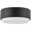 Black Two Light Flush Mount C3509