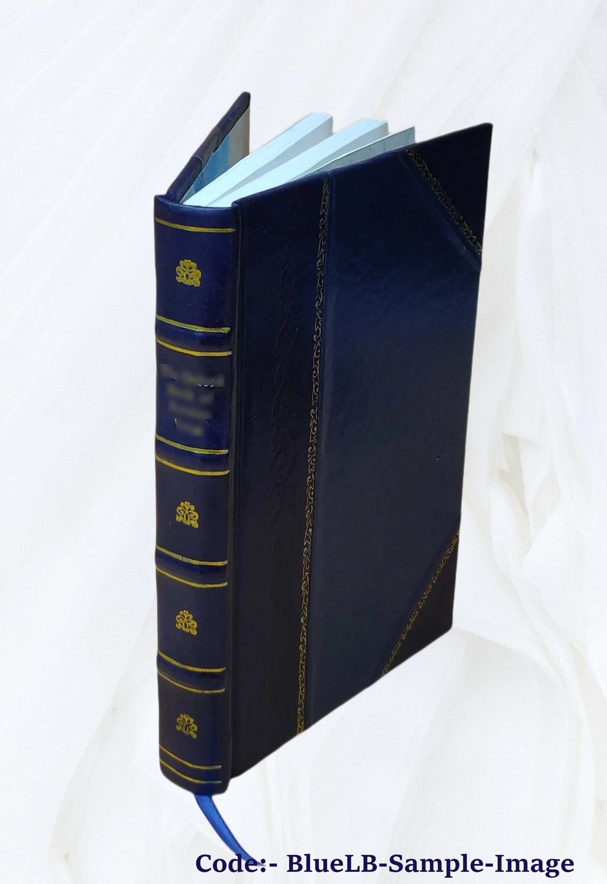 Leather Bound Book E516753