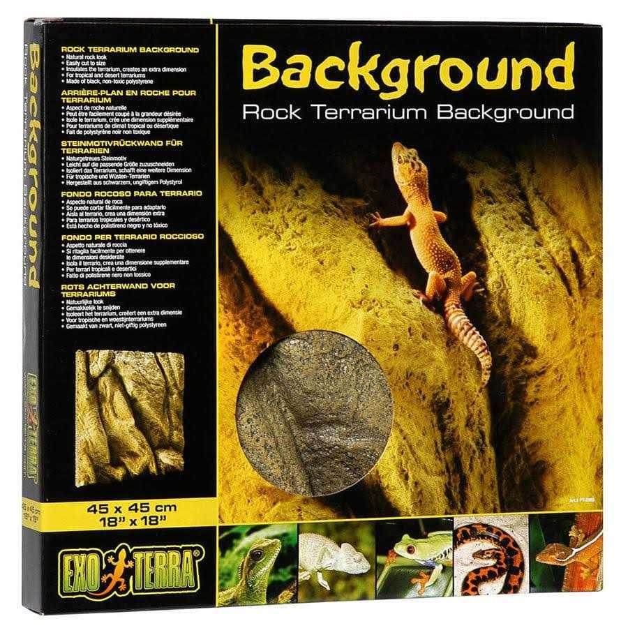 Rock Terrarium Background Q5514