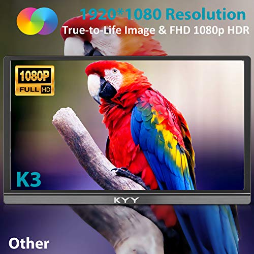 15.6inch 1080P FHD USB-C HDMI HDR IPS Portable Gaming Monitor W350009
