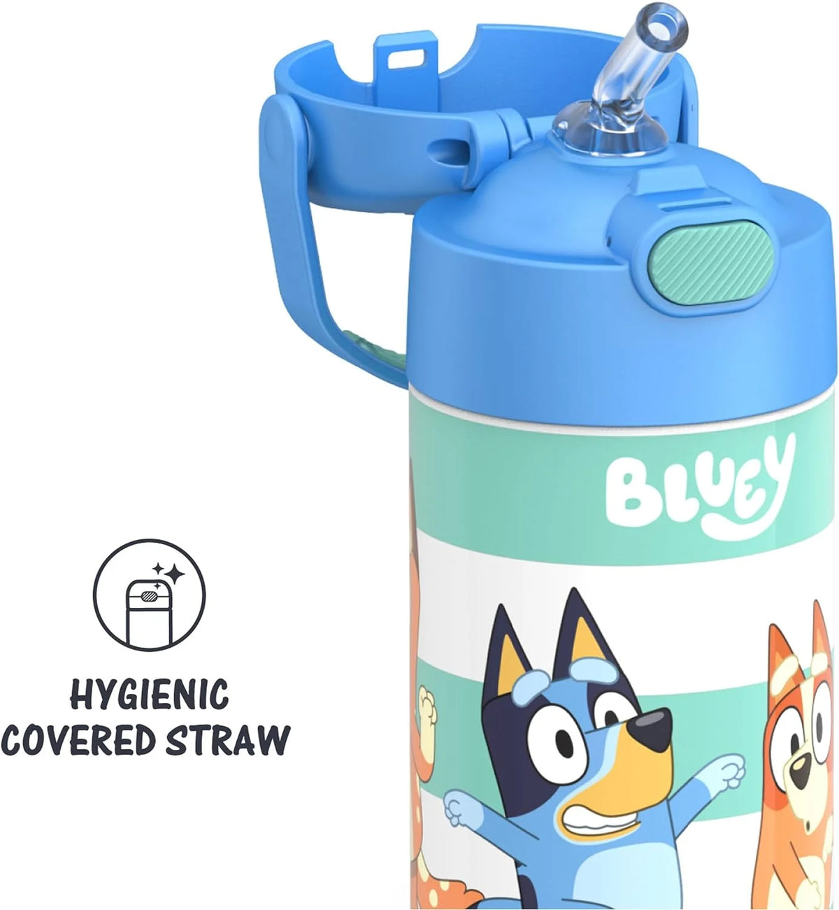 Bluey 12 Ounce Stainless Steel Kids Straw Bottle D11053