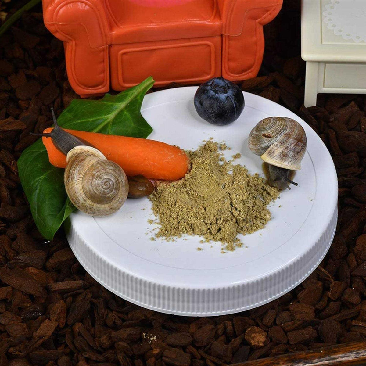 Vegetable Flavored Pet Snail Food High-Protein K2886