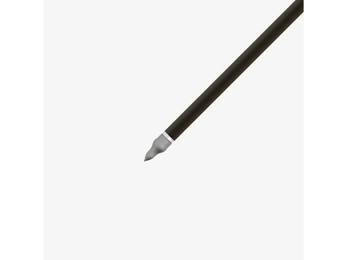 Gold Tip Hunter XT 300 2 inch Raptor Vanes 1dz P734