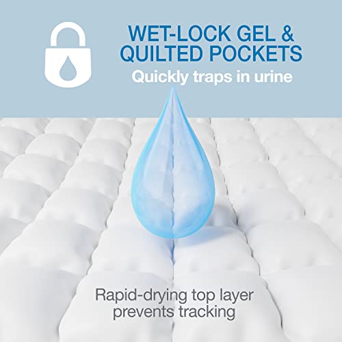 22" x 23" Unscented Quilted Potty Training Pads, 50 Count B5677