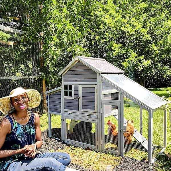 Wooden Chicken Coop K259
