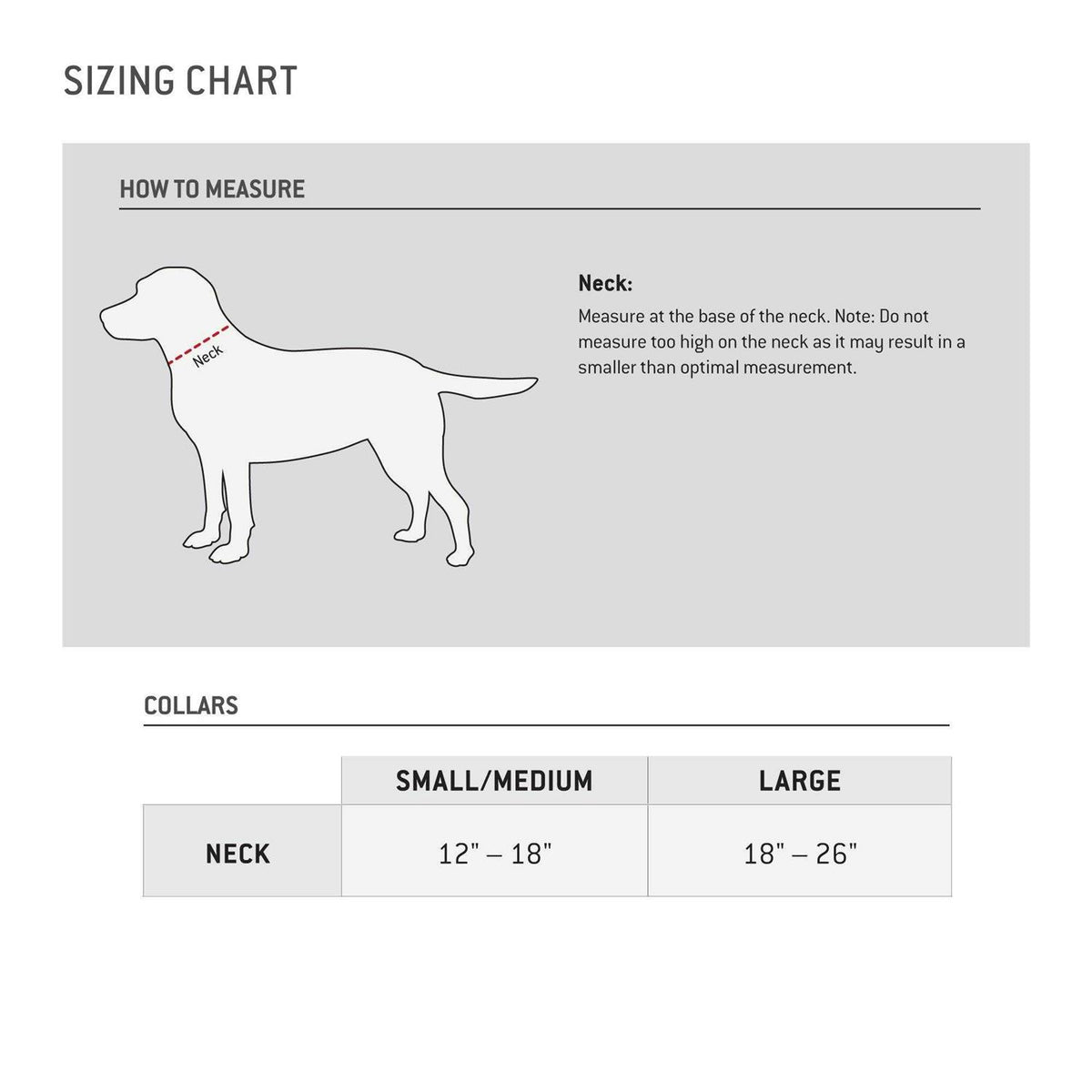 Dog Collar X95649