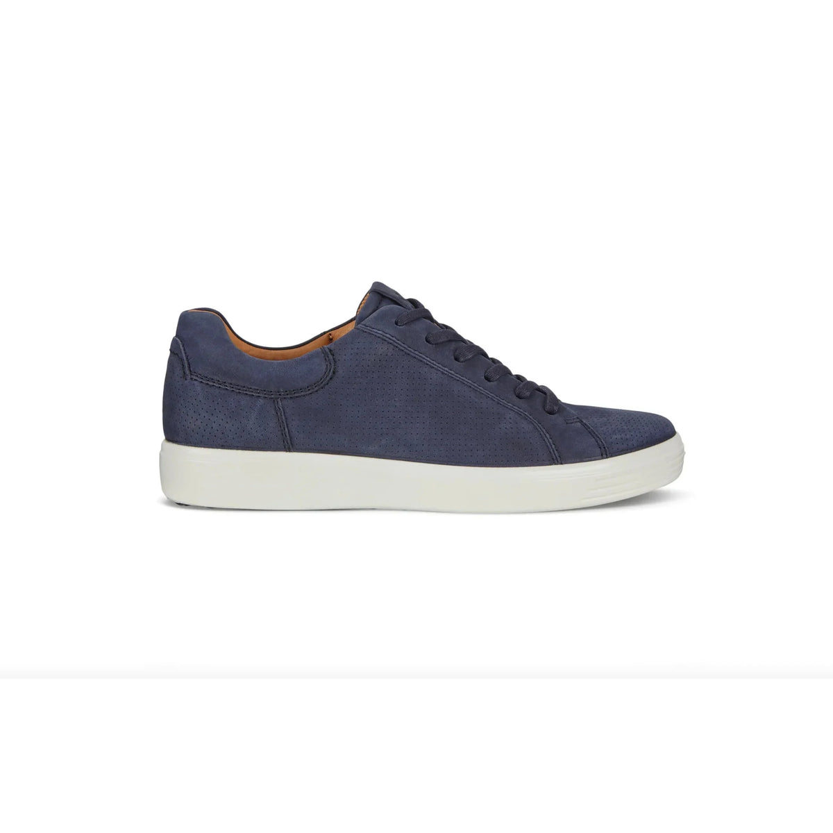 Night Sky Nubuck Sneaker V7198