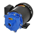 Straight Centrifugal Pump, Cast Iron, 1/3 HP, 1 Phase, 115/230V C2884