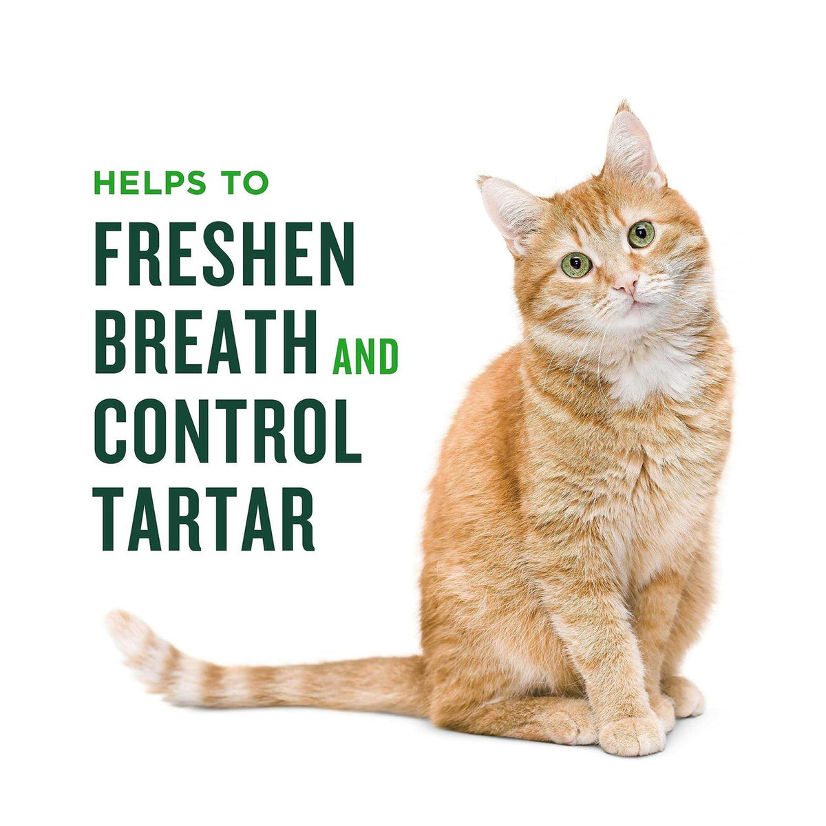 Minties Dental Treats for Cats B7479