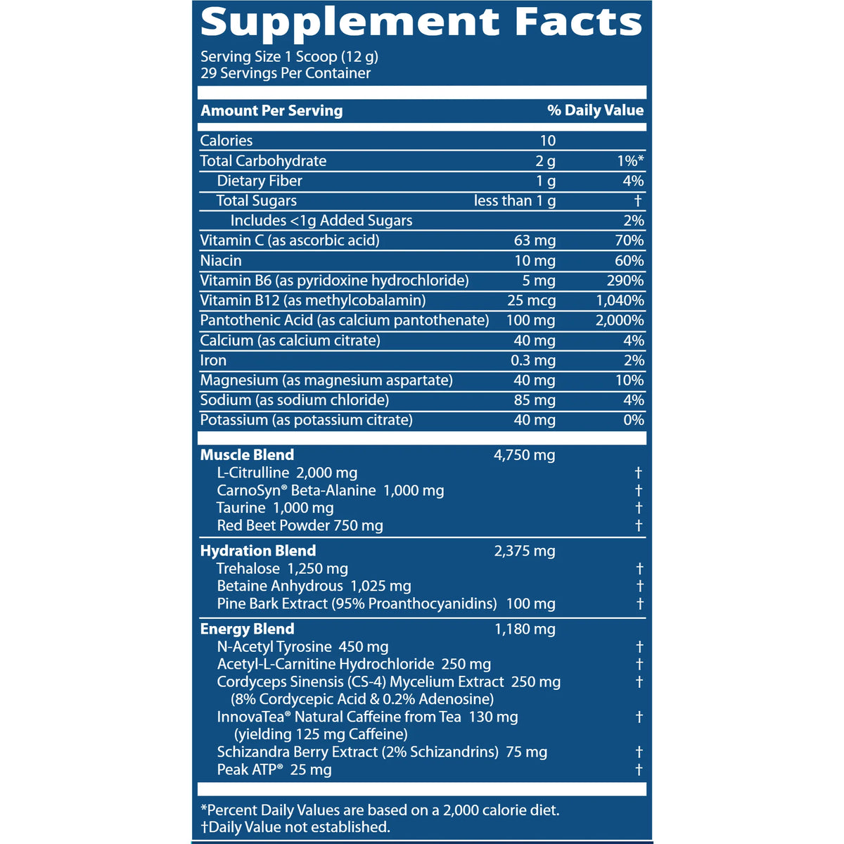 Pre-Workout 350 g I4006