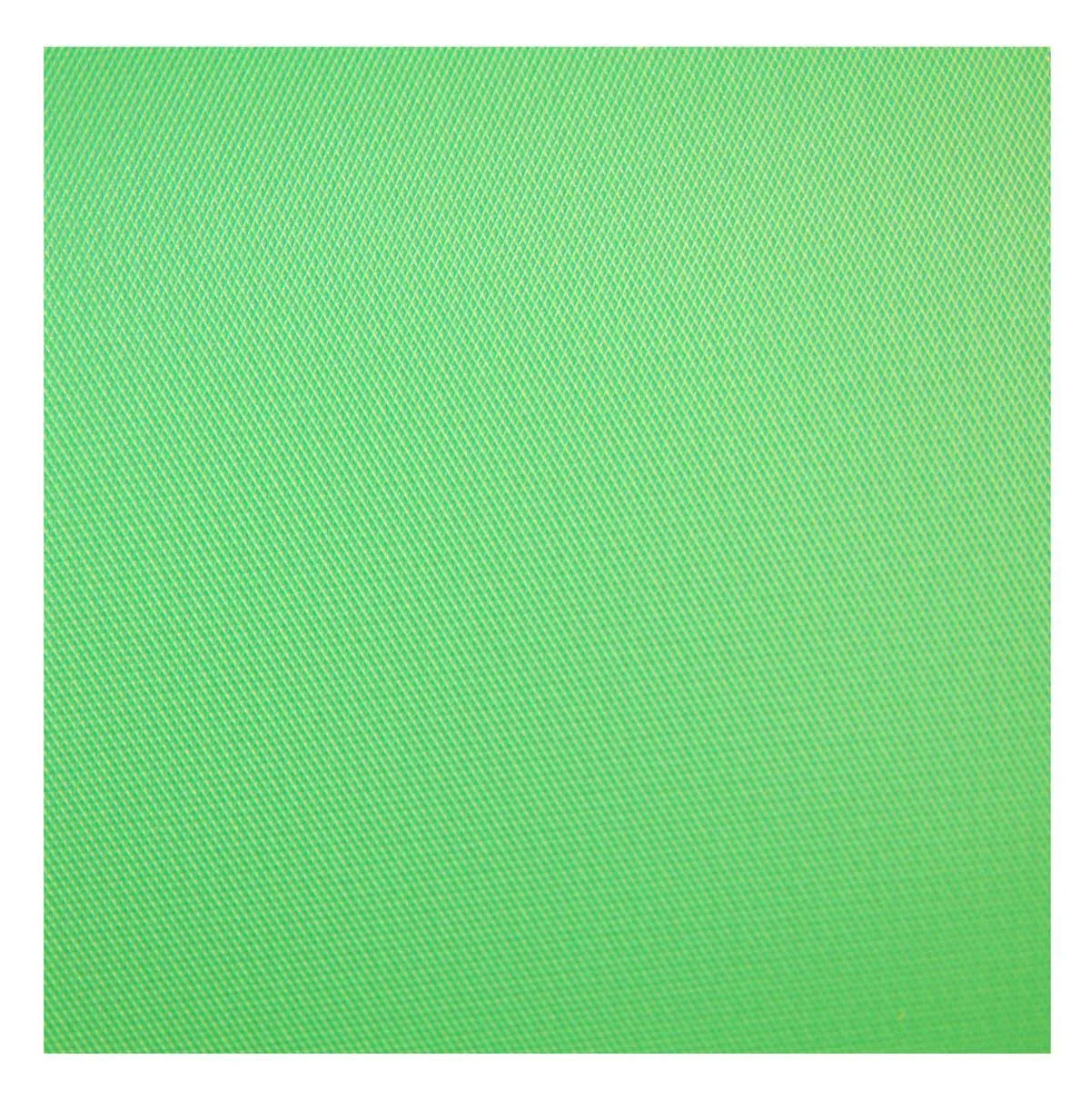 Chroma Green Vinyl Background B316