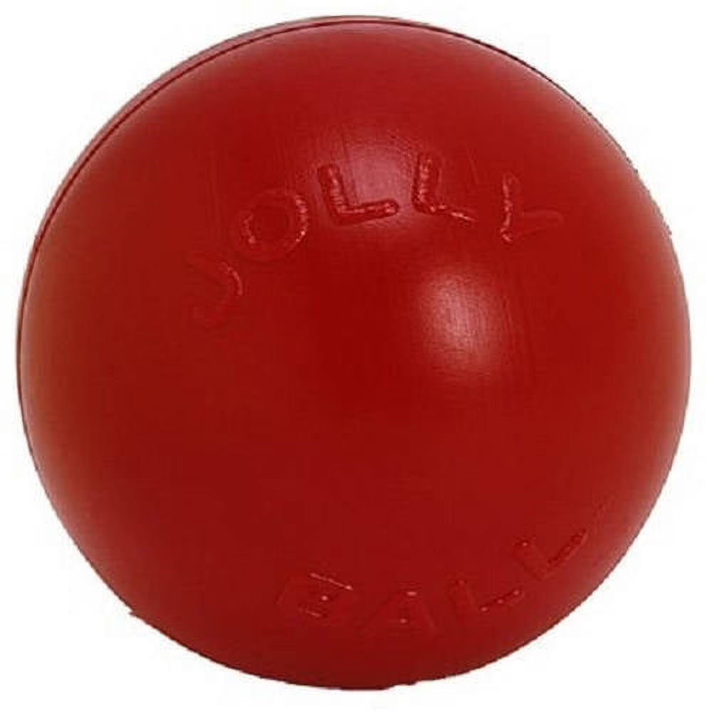 Red 10 inch Hard Plastic Chew Toy for Dogs M569154