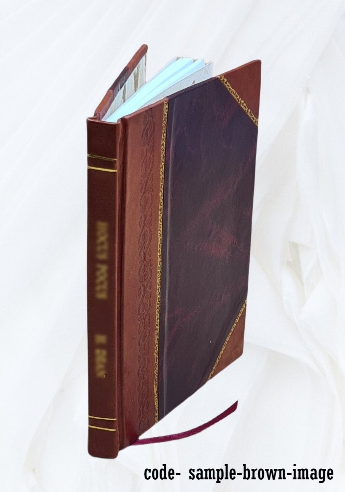 Genealogical Biography of Charles T. and Mary E. Clark Andrews D725304
