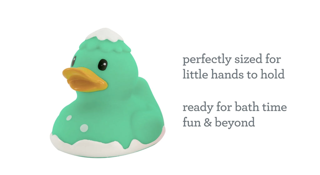2pk Holiday Ducks N5099